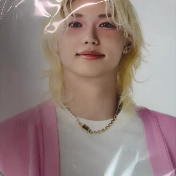 [BUNJANG] Stray Kids Felix Image Picket / 스키즈 이미지 피켓-필릭스
