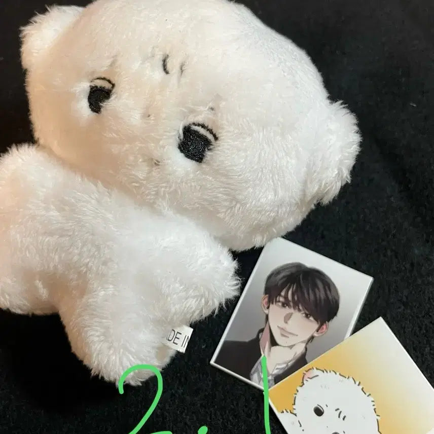 [BUNJANG] ENHYPEN NI-KI Sigol Jajuja Doll / 앤팀 죠 시고르자브죠 인형 양도