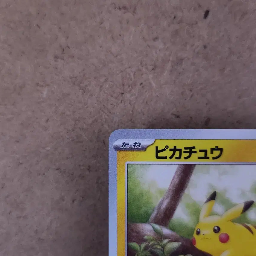 [BUNJANG] Pokemon Card 151 Japanese Pikachu (Walking on Trees) Illustration / 숲속 나무 위를 걷는 피카츄 포켓몬 카드 151 일본판 일판