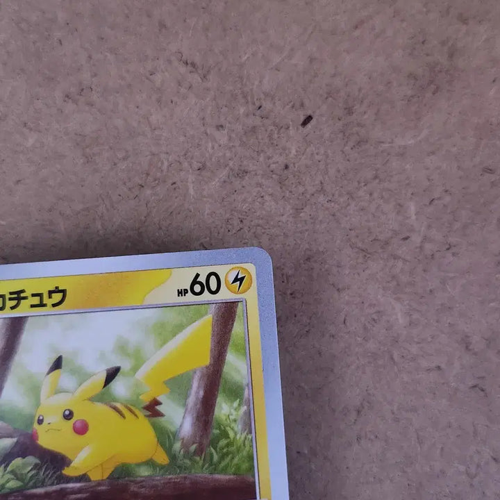 [BUNJANG] Pokemon Card 151 Japanese Pikachu (Walking on Trees) Illustration / 숲속 나무 위를 걷는 피카츄 포켓몬 카드 151 일본판 일판