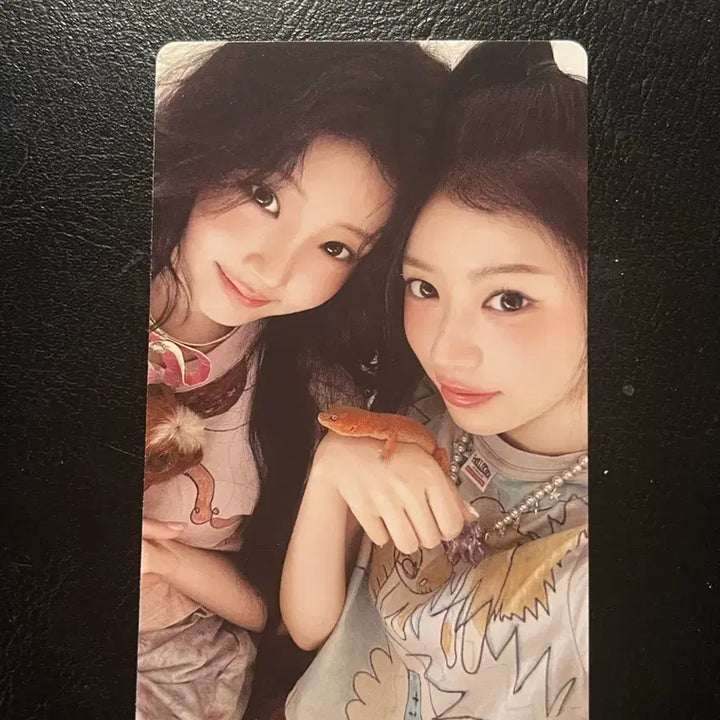 [BUNJANG] ILLIT 4th Album Bundle Set Photocard / 아일릿 포카 4집 포카 일괄 판매