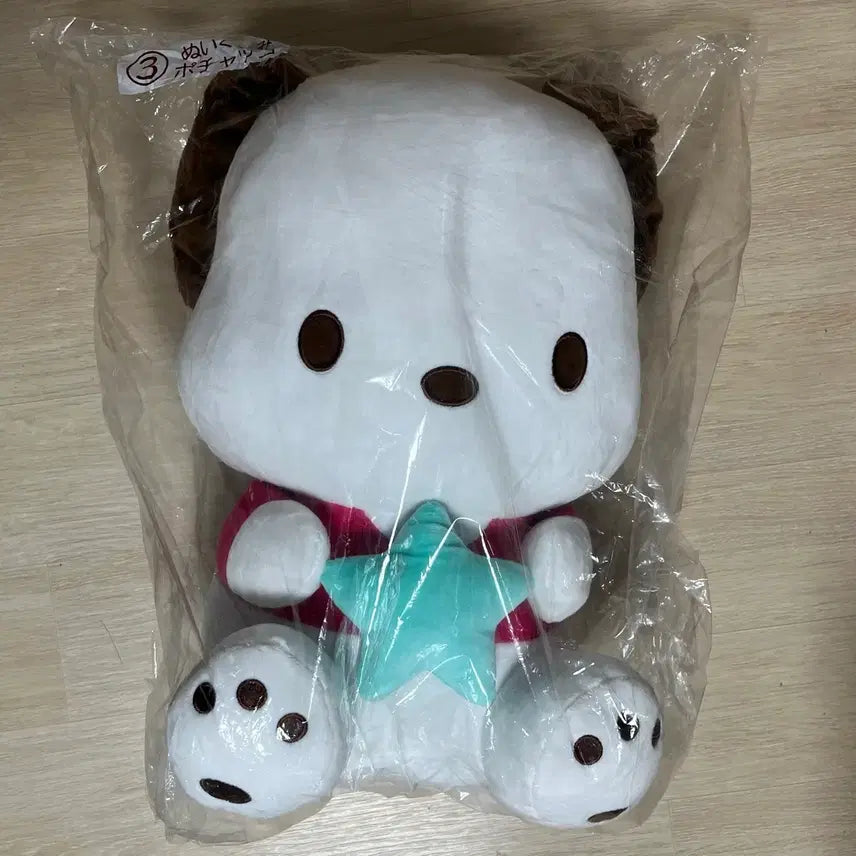[BUNJANG] Sanrio POCHACO Large Plush (Atari Kuji Prize C) / 2025 산리오 아타리 쿠지 3번상 포차코 대형 인형