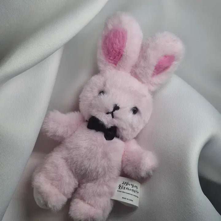 [BUNJANG] Gwaedam Chulgeun Character Plush Doll / 괴출 괴담출근 착한친구 착친 인형