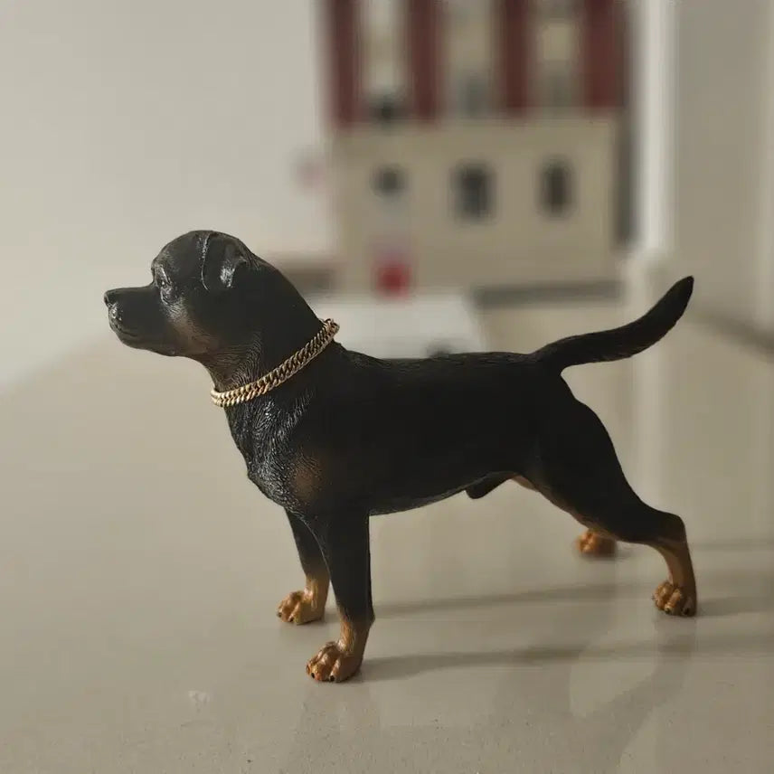 [BUNJANG] Fitbull Terrier 1/6 Scale 12-Inch Figure with Chain Necklace / 12인치 피규어 1/6  핏블 테리어