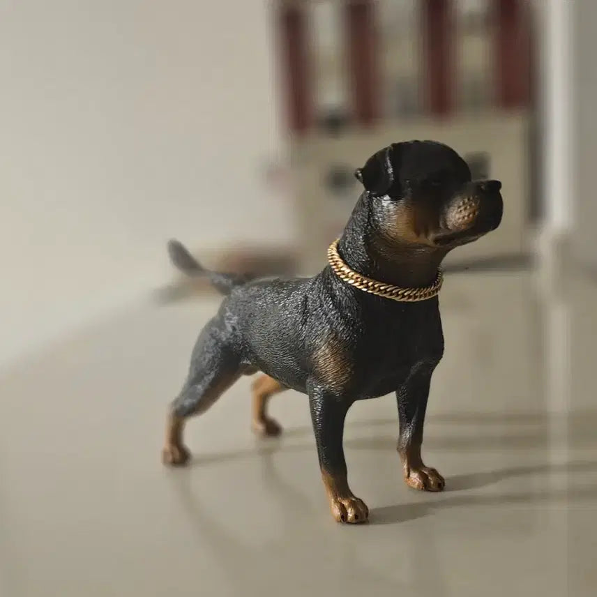 [BUNJANG] Fitbull Terrier 1/6 Scale 12-Inch Figure with Chain Necklace / 12인치 피규어 1/6  핏블 테리어