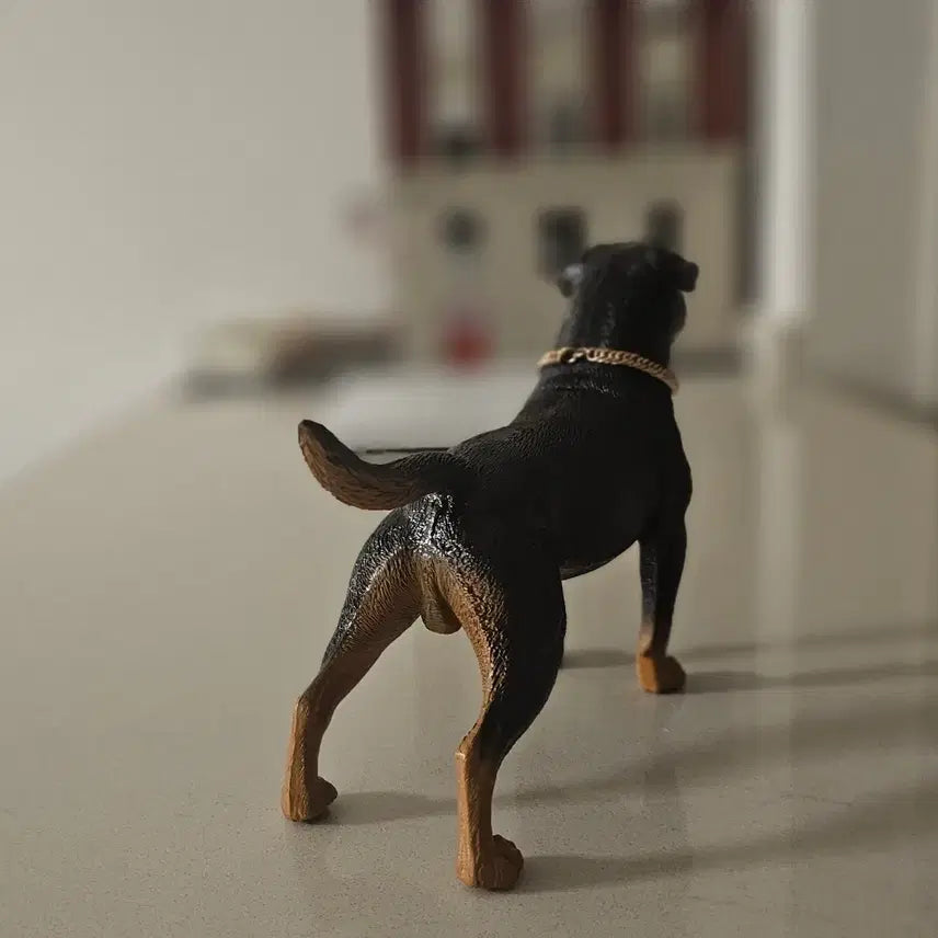 [BUNJANG] Fitbull Terrier 1/6 Scale 12-Inch Figure with Chain Necklace / 12인치 피규어 1/6  핏블 테리어