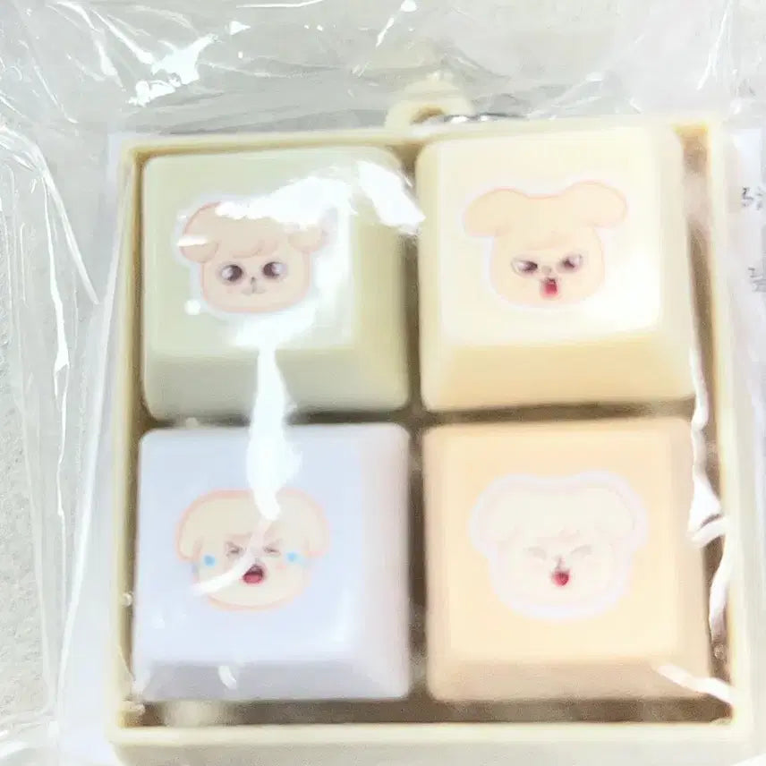 [BUNJANG] SKIZOO Perfim Keycap Keyring Japan Kuji / 스키주 퍼핌 키캡키링 일본 쿠지