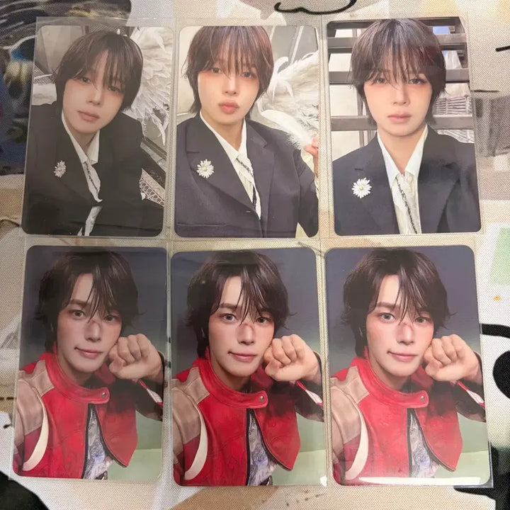 [BUNJANG] ENHYPEN K POB Bundle Set Photocard / 앤팀 케이 포카 일괄 양도