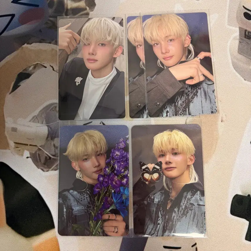 [BUNJANG] ENHYPEN Jay Bundle Set Photocard / 앤팀 죠 포카 일괄 양도