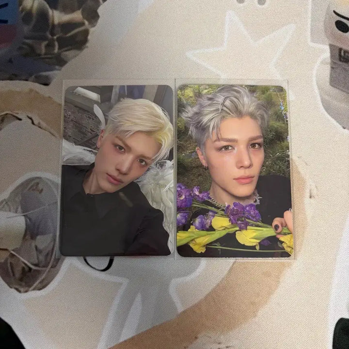 [BUNJANG] ENHYPEN Maki Bundle Set Photocard / 앤팀 마키 포카 일괄 양도