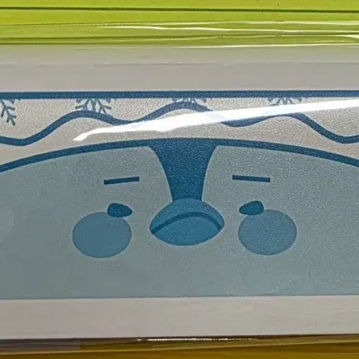 [BUNJANG] 2PM Junho The Return (PengPengi) Glasses Case / 2pm 준호(펭펭이) 더리턴 인천 안경케이스