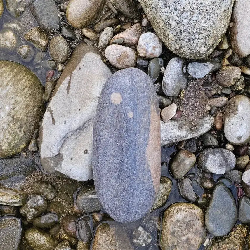 [BUNJANG] Natural Stone with Moon Pattern - 24cm / 수석 자연석 월 문양석 크기 24센치정도