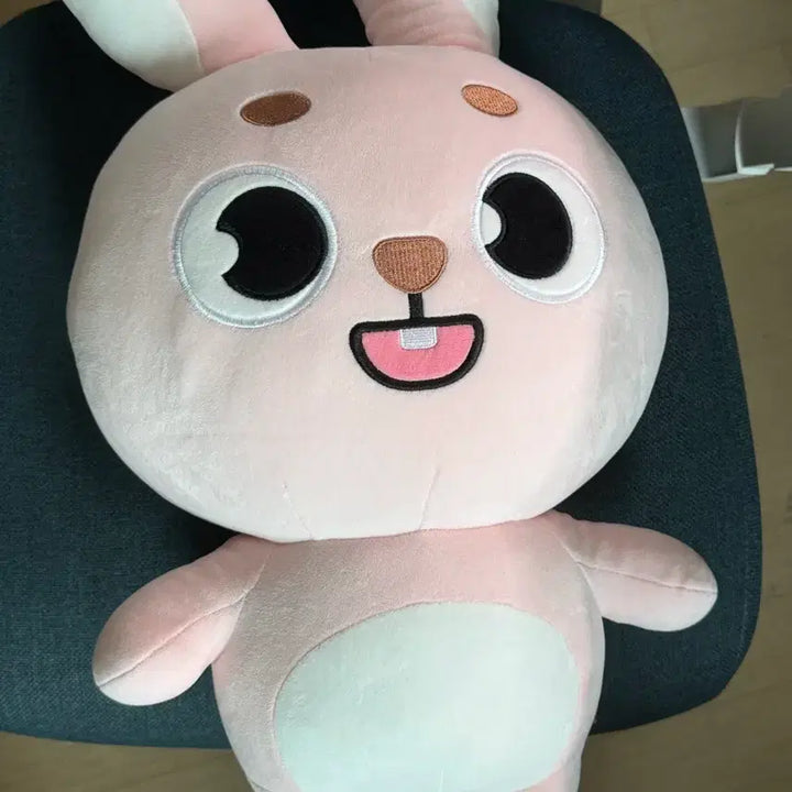 [BUNJANG] Day6 Wonpil Giant Doll / 데이식스 자이언트 인형 원필