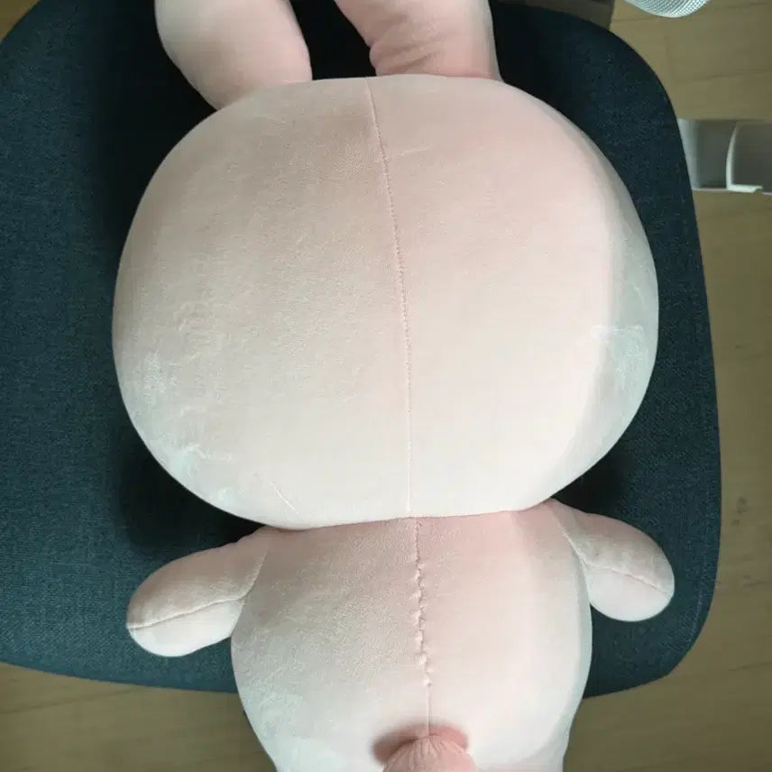[BUNJANG] Day6 Wonpil Giant Doll / 데이식스 자이언트 인형 원필