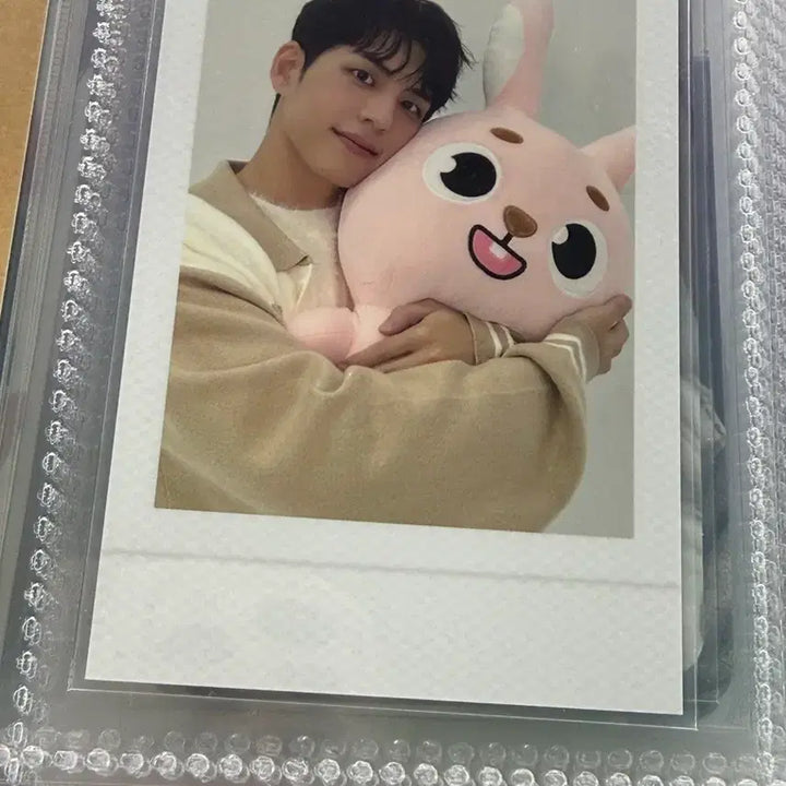 [BUNJANG] Day6 Wonpil Giant Doll / 데이식스 자이언트 인형 원필