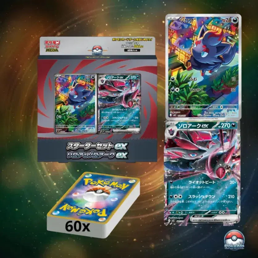 [BUNJANG] Pokemon Trading Card Game Japan Mega Starter Set ex Zoroark &amp; Zoroark ex / 포켓몬스터 카드게임 일본판 메가 스타터 세트 ex 조로아 &amp; 조로아크 ex