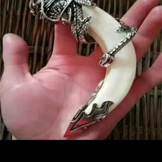 [BUNJANG] Boar Tusk and Tibetan Silver Dragon Pendant / 멧돼지 이빨 티베트ㅡ실버 드래곤