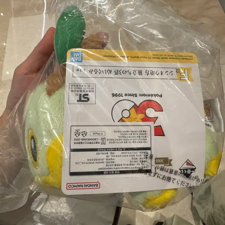 [BUNJANG] Pokemon 30th Anniversary Ichiban Kuji F Prize Feraligatr Plush / 포켓몬 30주년 이치방쿠지 F상 모부기