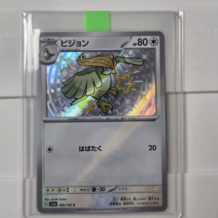 [BUNJANG] Pokemon Card Shiny Treasure Pigeon Shiny S Japanese Version / 포켓몬카드 샤이니트레저 피죤 이로치 S 일판