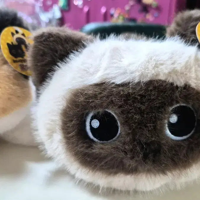 [BUNJANG] Fluffy Cat Plush Toy Set (2 pcs) - New / 고양이 인형 털 복슬복슬 귀여운 인형2개 세트 새상품