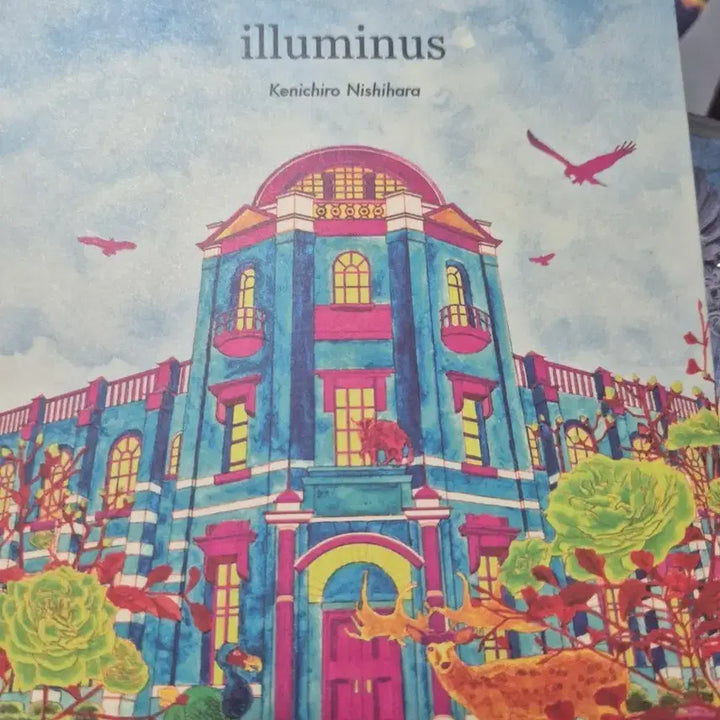 [BUNJANG] Kenichiro Nishihara Illumnius Album / 니시하라 켄이치로 일루미너스 앨범