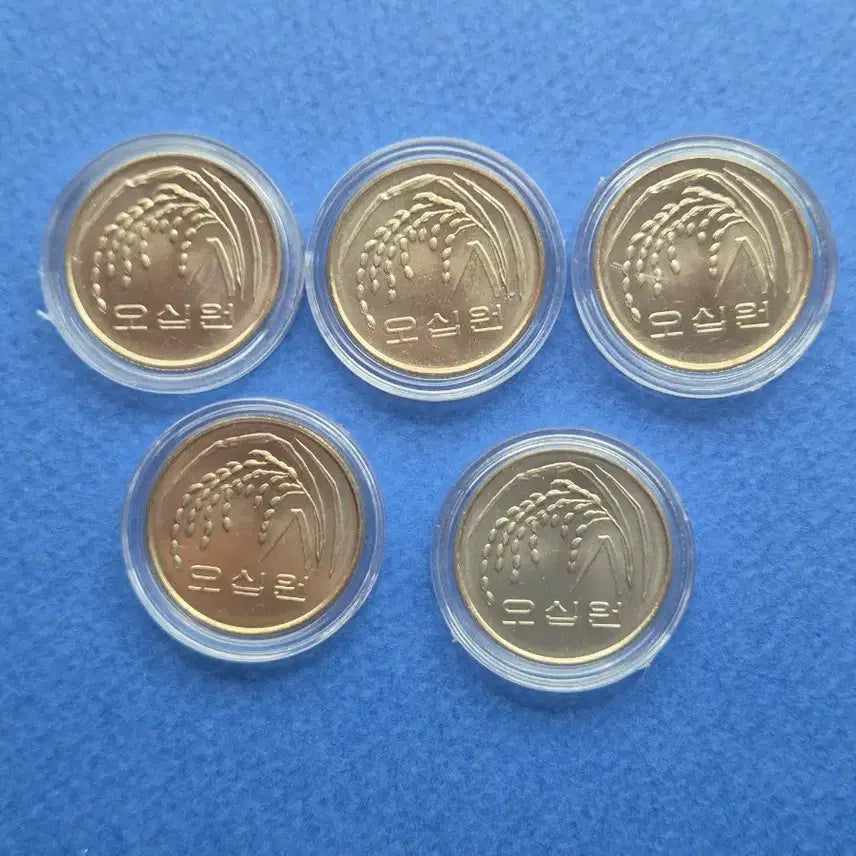 [BUNJANG] 50 Won Uncirculated Coin Set (5 pieces) / 4991년 50원 미사용주화 5개
