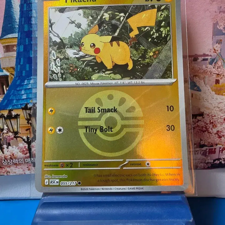 [BUNJANG] North American Pokémon Card Pikachu Holo A-Grade / 북미 포켓몬카드 피카츄 홀로 A-급