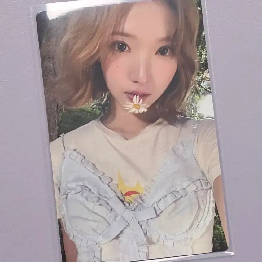 [BUNJANG] Hats to Hearts Hatohart Iconic Heart First Press Limited Edition C Album Photocard Jiwoo / 하츠투하츠 하투하 아이코닉 하트 초회한정판 C 앨포 포카 지우