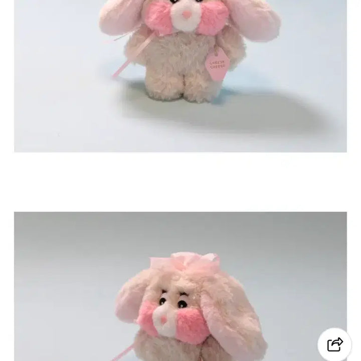 [BUNJANG] Annyeong Mimi Robear Bread Duck Doll / 안녕미미 롭이어 빵빵덕 인형
