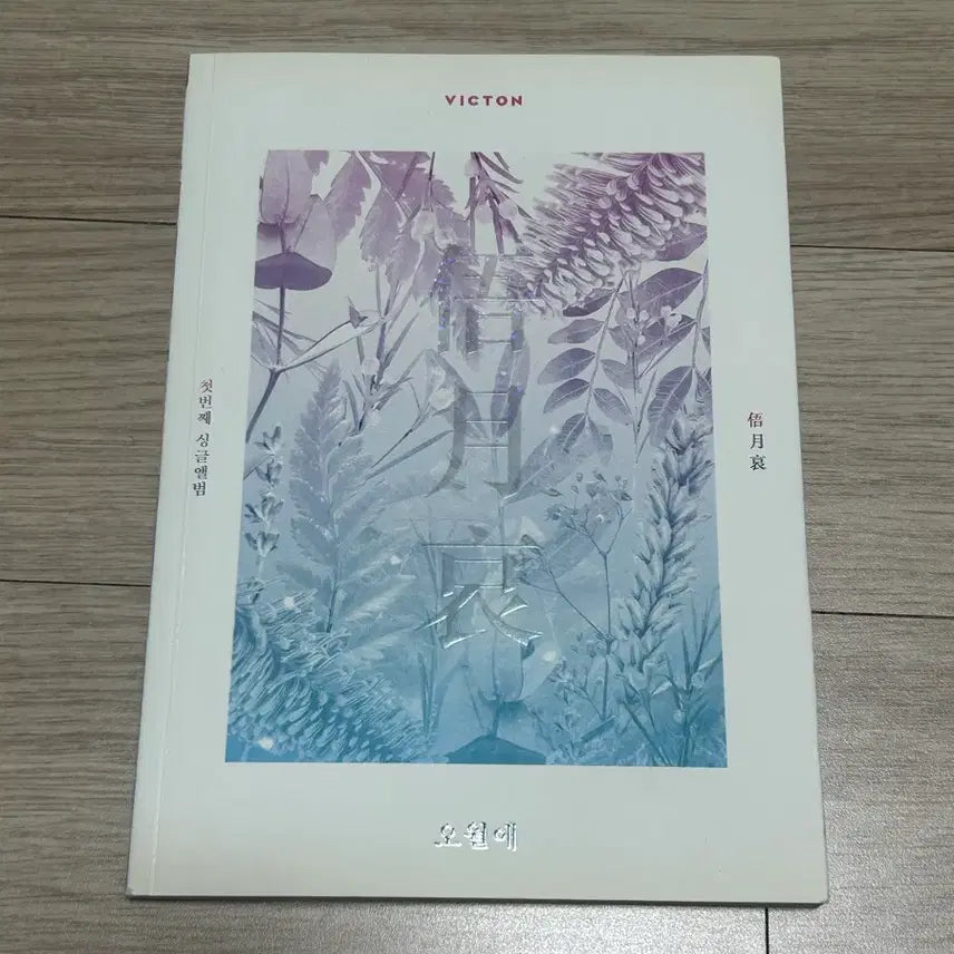 [BUNJANG] VICTON May We Album / 빅톤 앨범 오월애