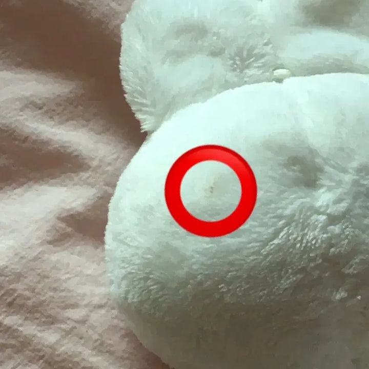 [BUNJANG] Babooth Malangbin Plush / 뽀바투 말랑빈 팔아요