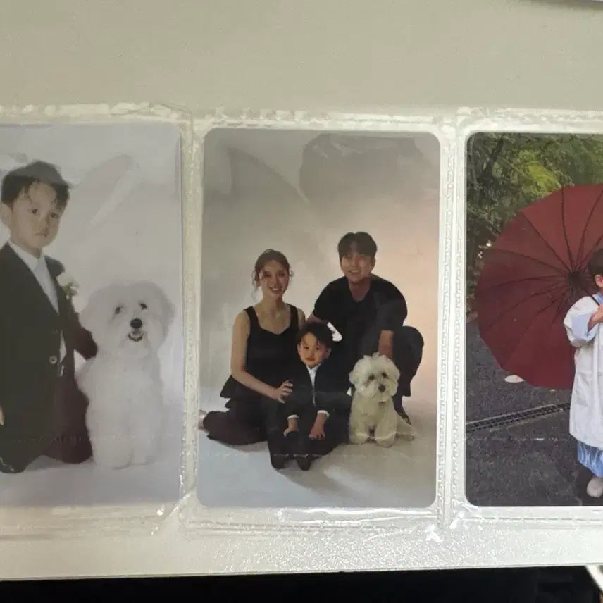 [BUNJANG] Yujun Family Photocard Set / 유준이네 포토카드