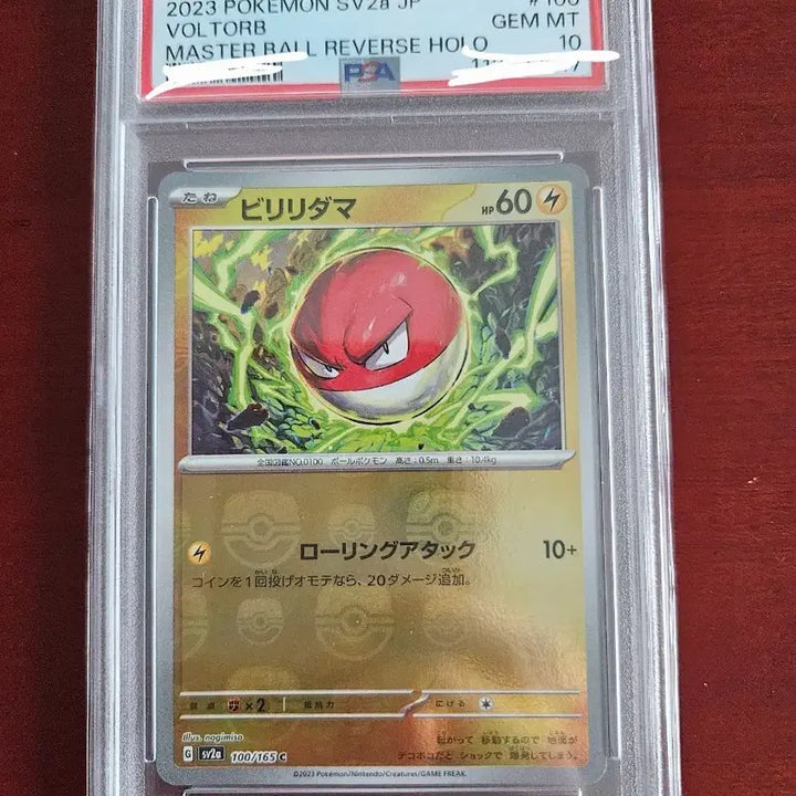 [BUNJANG] Pokemon Card Voltorb PSA 10 Master Ball / [일판] 포켓몬카드 마스터볼 찌리리공 psa10