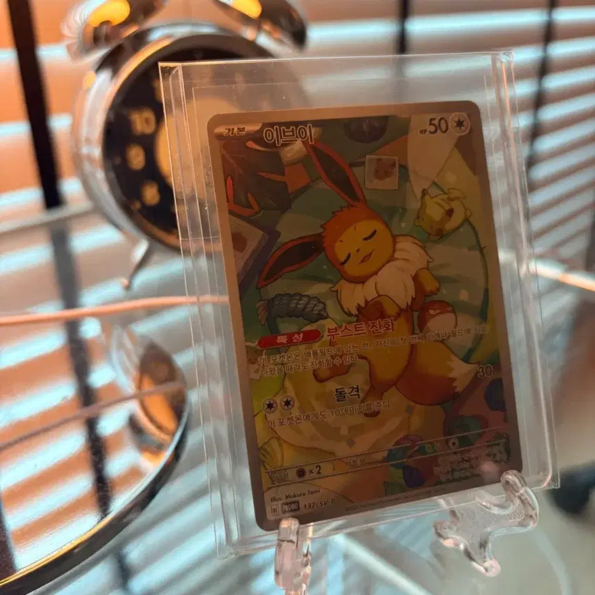 [BUNJANG] Pokemon Card Eevee Terrastal Festa Promo / 포켓몬카드 테라스탈페스타 이브이 프로모