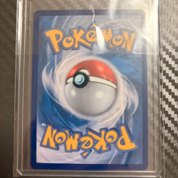 [BUNJANG] Pokemon Card Eevee Terrastal Festa Promo / 포켓몬카드 테라스탈페스타 이브이 프로모
