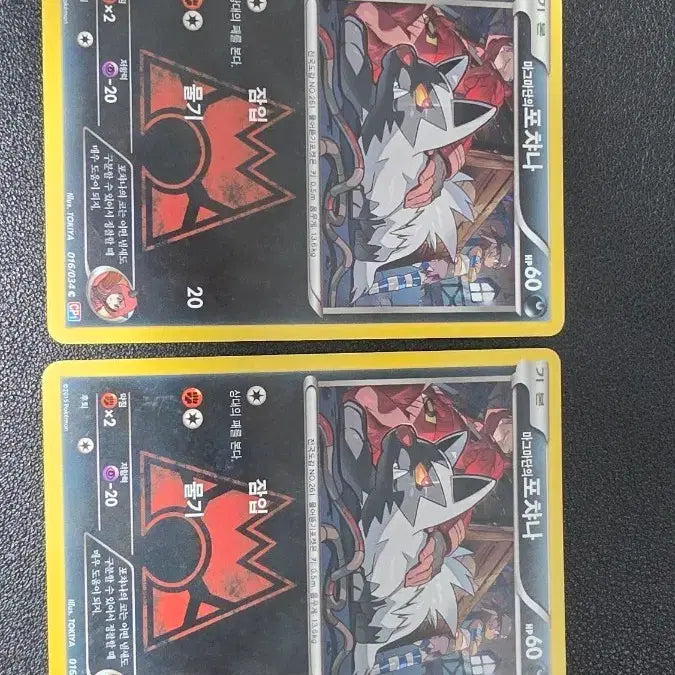 [BUNJANG] Pokemon Card Magma&