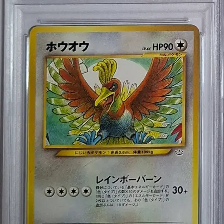 [BUNJANG] Pokemon Card Neo Premium File Holo Holo-Colorless Holo Mewtwo PSA 8 / 일판 2000 칠색조 네오 프로모 psa8 프리미엄 파일 포켓몬 카드