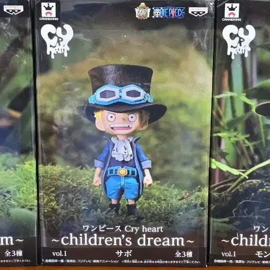 [BUNJANG] One Piece Cry Heart -Children&