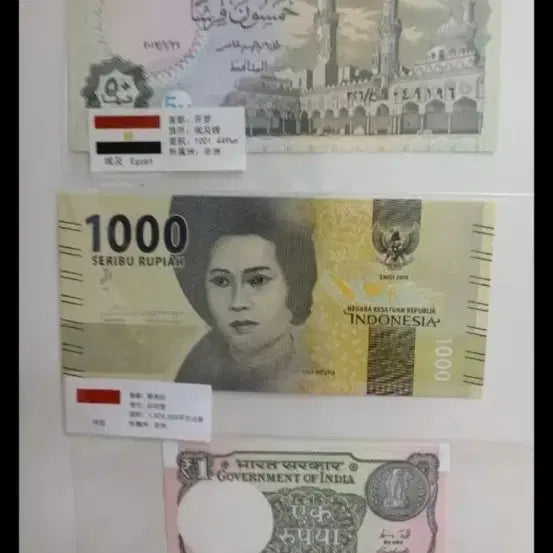 [BUNJANG] World Banknotes Collection (10 pcs) / 외국 지폐 모음 10장