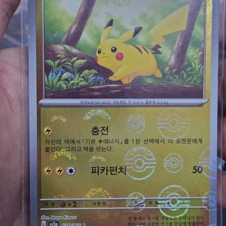 [BUNJANG] Pokemon Card 151 Pikachu Monster Ball Holo / 포켓몬 카드 151 피카츄 몬스터볼 홀로