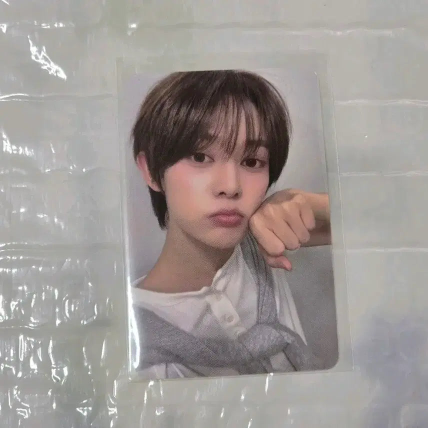 [BUNJANG] VAYONN Daily Fan Meeting Studio Photocard A-yang / 베이온 VAYONN 일일팬매 공방 포카 아양