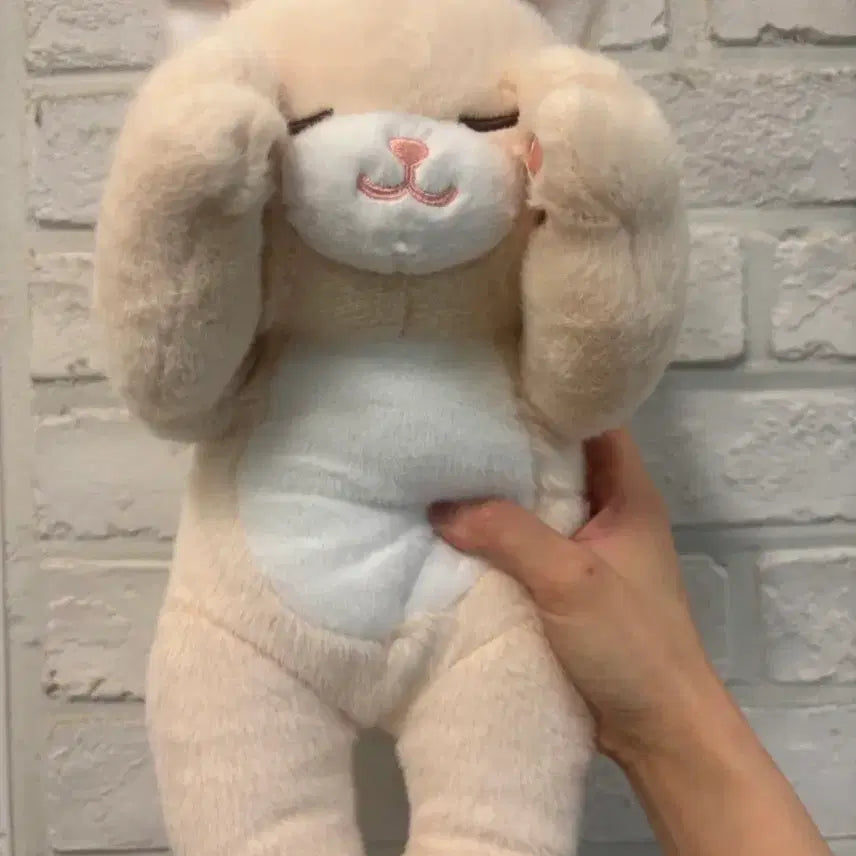 [BUNJANG] Cute Cat Plush Doll - Medium Size, Butter Color / 부끄럽냥 고양이 인형 버터색상(새상품)