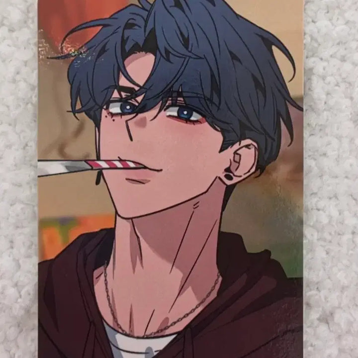 [BUNJANG] Bomtoon Sweet Home Sketch Photocard / 봄툰 시그 봄 스윗 홈 <스케치> 포토카드&amp;엽서