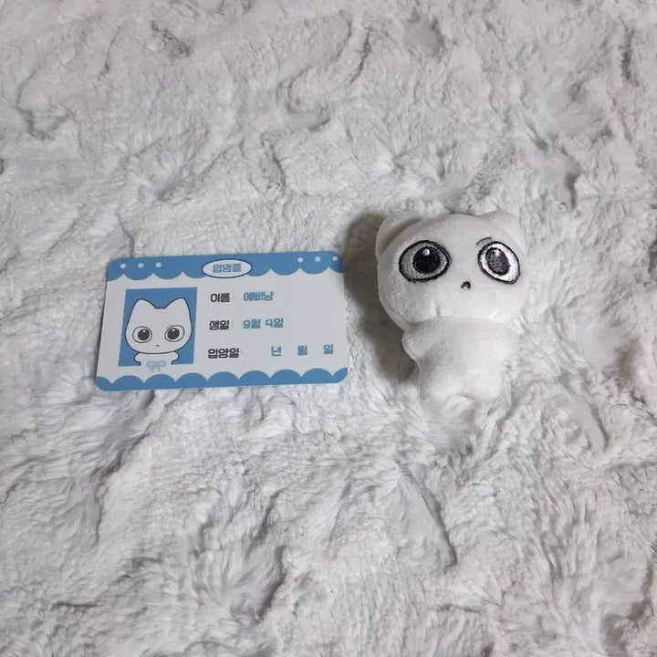 [BUNJANG] BOYNEXTDOOR Sung-ho Yeppinyan 2.0 Doll / 보이넥스트도어 보넥도 성호 인형 예삐냥 양도