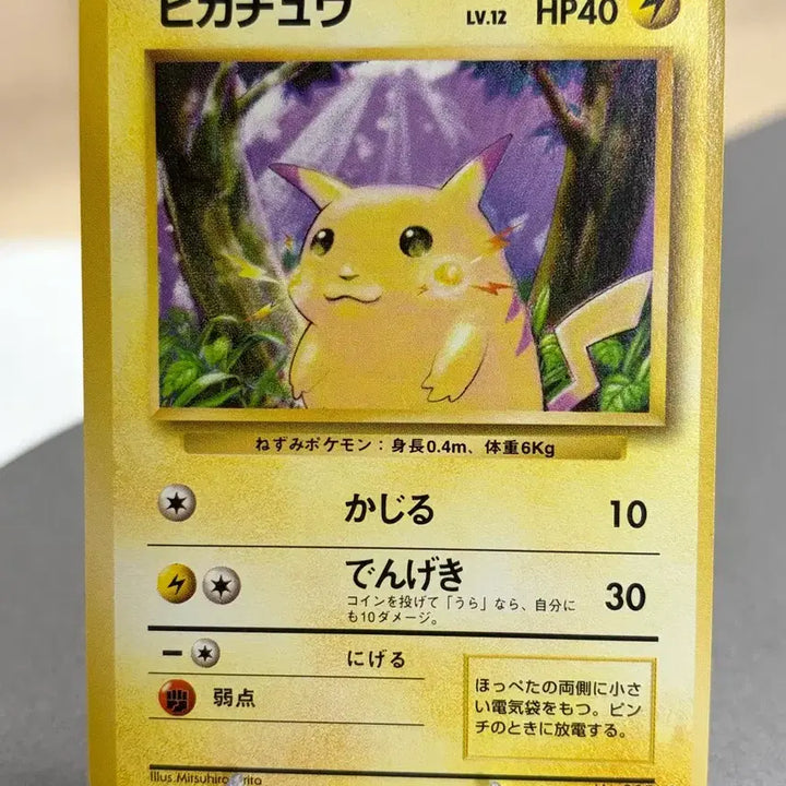 [BUNJANG] Pokemon Card 1990s Old Back (1st Edition) Pikachu Fat Pikachu Japanese / 포켓몬카드 1990년대 올드백(초판) 피카츄 뚱카츄 일판