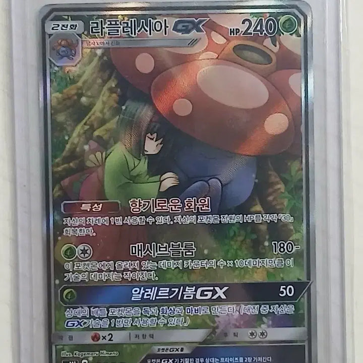 [BUNJANG] Pokemon Card Rafflesia GX / [급처]포켓몬카드 라플레시아gx 특일