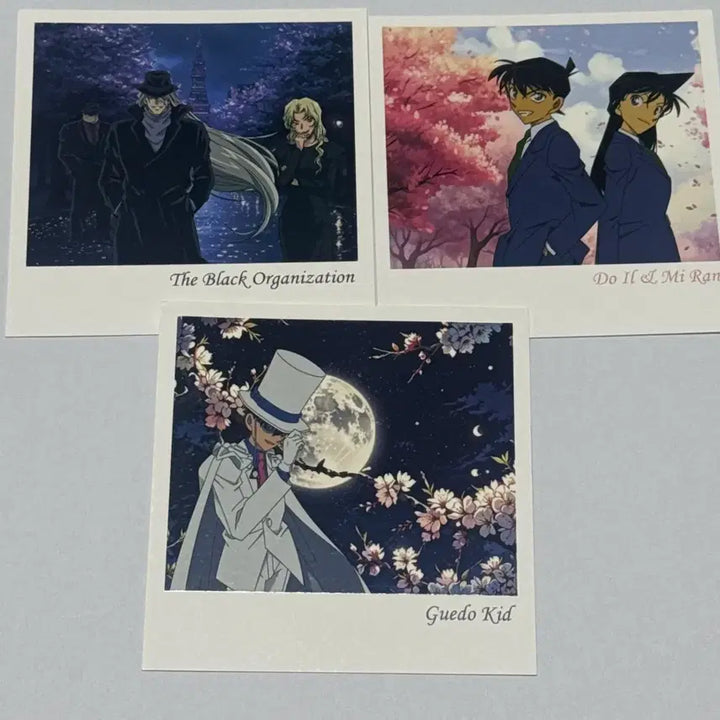 [BUNJANG] Detective Conan Cherry Blossom Polaroid Postcard Photocard Bundle Set / 일괄 급처) 명탐정 코난 팝업 벚꽃 폴라로이드 엽서 포토카드