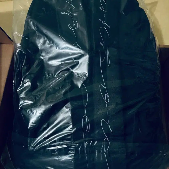 [BUNJANG] Park Hyo Shin STPD Backpack (Sealed) / [미개봉] 박효신 STPD 백팩