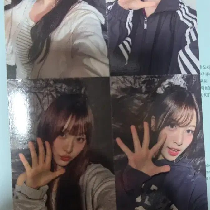 [BUNJANG] Rizenne Yaho &