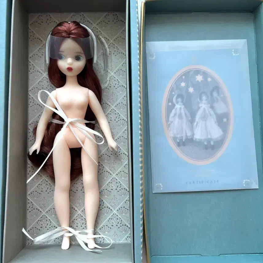 [BUNJANG] 25cm Clara Doll Unsealed / 25코지 클라라 노멀 개봉